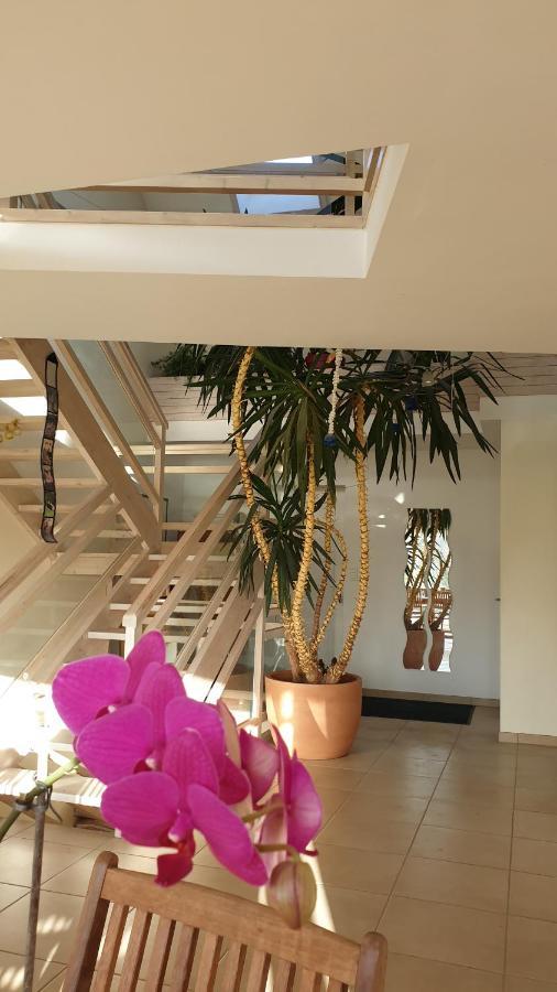 Grande Maison Avec Spa Proche De Caen Et De La Mer Brouay Екстериор снимка
